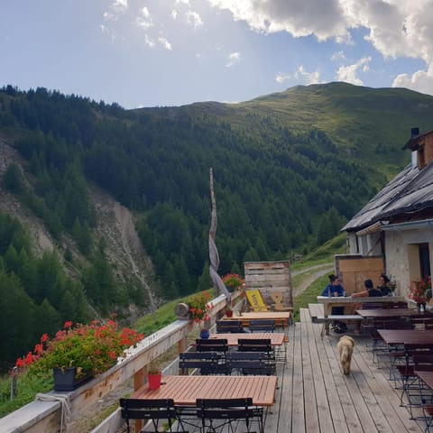Alp Es-Cha Dadour Bed and Breakfast in Canton of Grisons