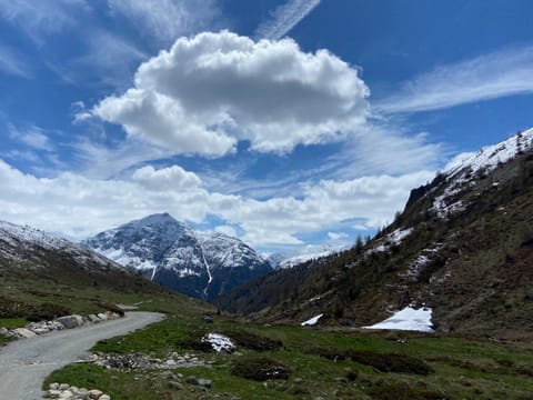 Alp Es-Cha Dadour Bed and Breakfast in Canton of Grisons