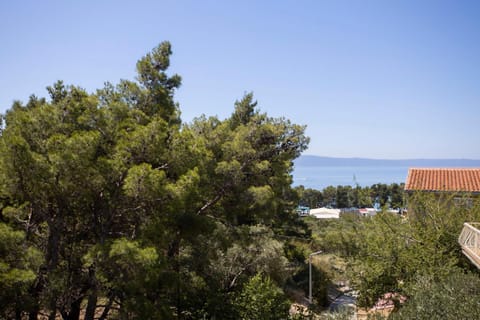 Bathroom, Garden view