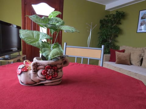 Apartman Bilja Apartment in Serbia