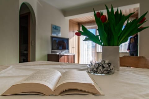 Living room, Photo of the whole room