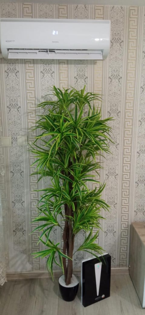 Varna Studio 1 Apartment in Varna