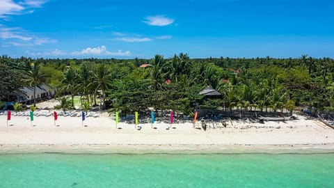 Bird's eye view, Beach