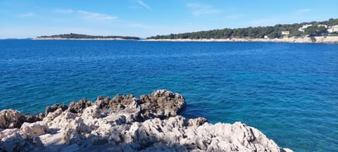 Apartment Jura Bilo Apartment in Šibenik-Knin County, Croatia