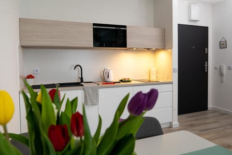 Baltica apartament przy samej plaży Apartment in West Pomeranian Voivodeship, Poland