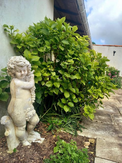 Garden, Garden view