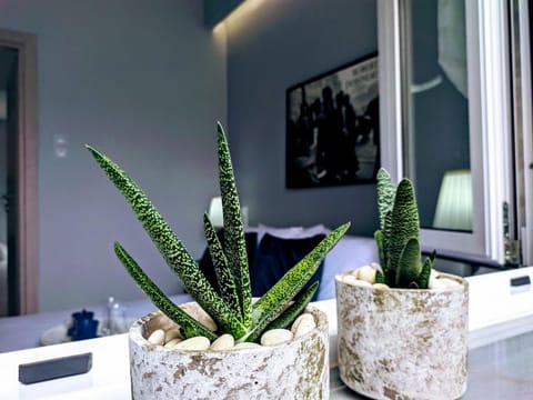 Gloria Apartment Apartment in Zakynthos