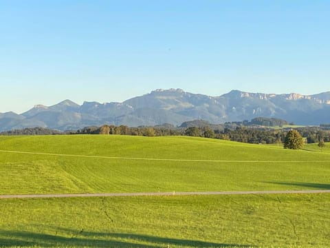 Asbichlerhof Apartment in Salzburgerland