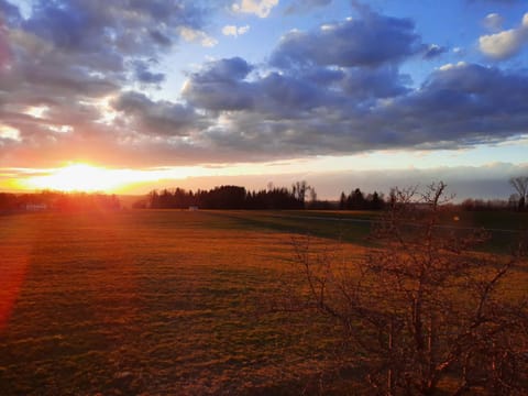 Asbichlerhof Apartment in Salzburgerland