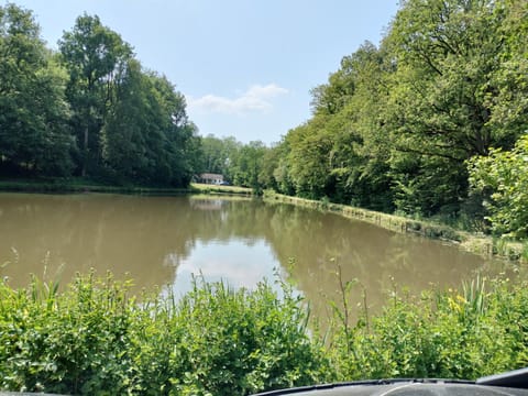 Spring, Day, Natural landscape, River view