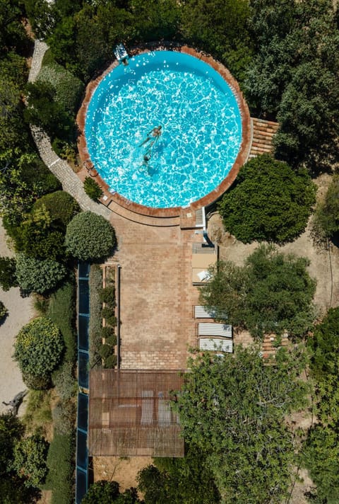 Activities, Bird's eye view, Seating area, Pool view, Sea view, Swimming pool, sunbed