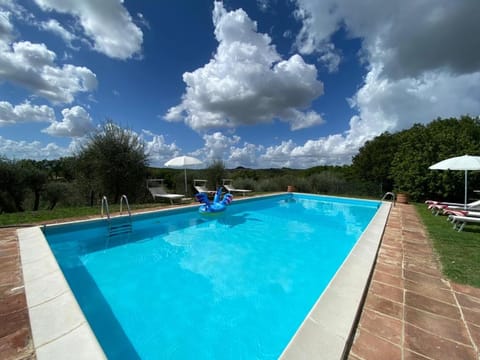 Natural landscape, Pool view, Swimming pool, sunbed