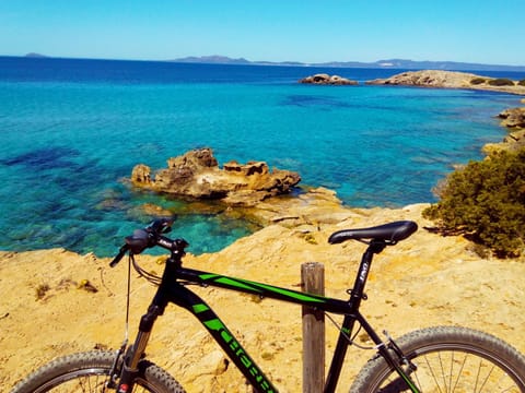 Natural landscape, Beach, Cycling