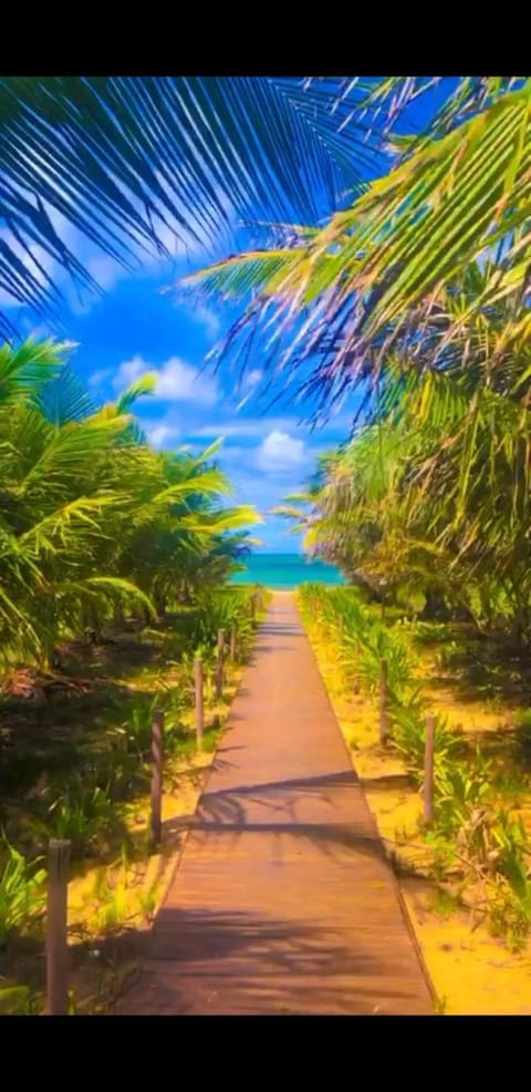 Day, Natural landscape