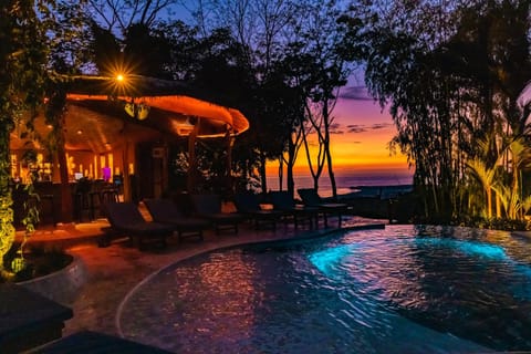 Lounge or bar, Swimming pool