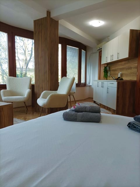 Apartman Rajska Banja Apartment in Serbia