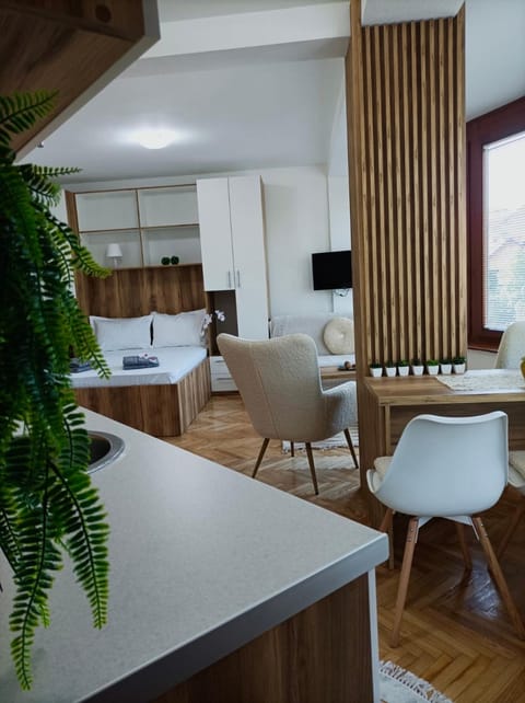 Apartman Rajska Banja Apartment in Serbia