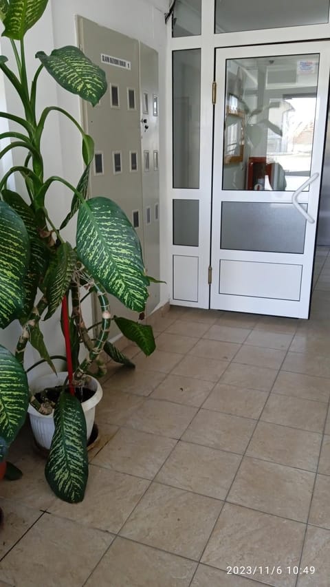Apartman Mira Apartment in Serbia