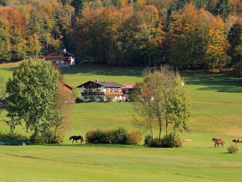 Obergöbllehen Apartment in Berchtesgaden