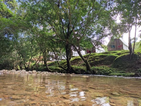 Natural landscape, Garden, Hiking