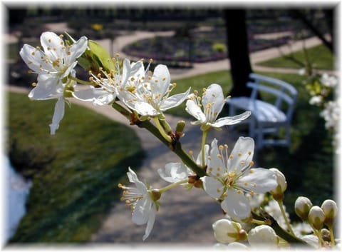 Haus Wattenblick OG Apartment in Westerland