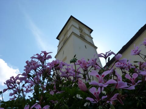 RistoBar B&B al Pont Bed and Breakfast in Canton of Ticino