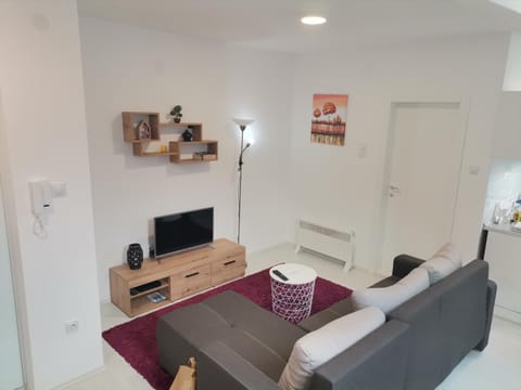 Apartman ST.Nedeljkovic Sokobanja Apartment in Serbia