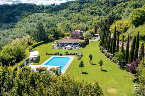Bird's eye view, Garden, Garden view, Pool view