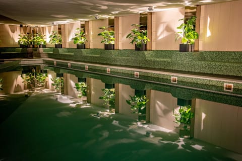 Spa and wellness centre/facilities