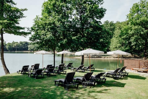 Lake view