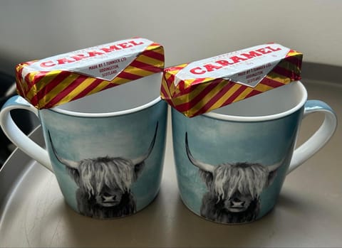 Nevis Rooms - Self check in with free onsite Parking Bed and Breakfast in Fort William