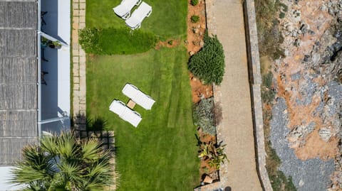 Bird's eye view, Garden, Garden view
