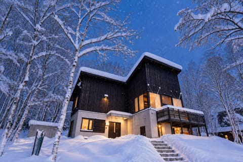 Night, Winter