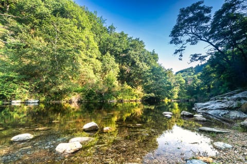 Activities, River view, River view