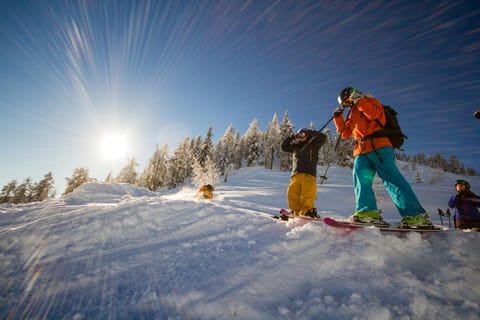 B & B Gmeineck Bed and Breakfast in Carinthia, Austria