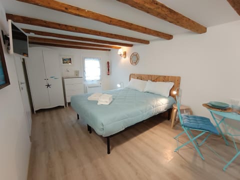 Bed, TV and multimedia, Kitchen or kitchenette, Photo of the whole room, Dining area, Bedroom