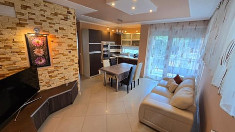 Living room, kitchen