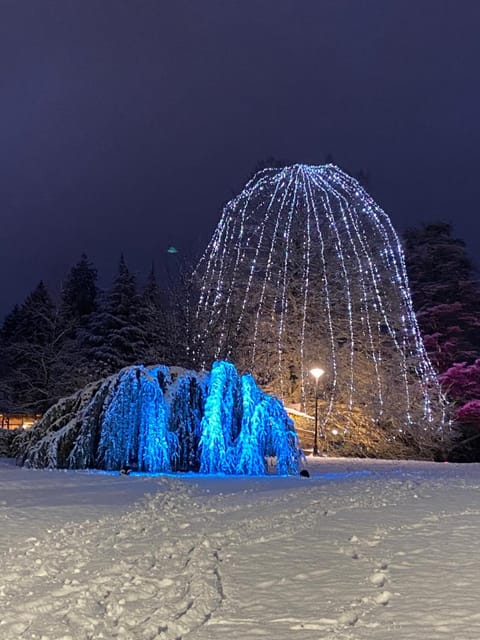 Casa Bosco Apartment in Levico Terme