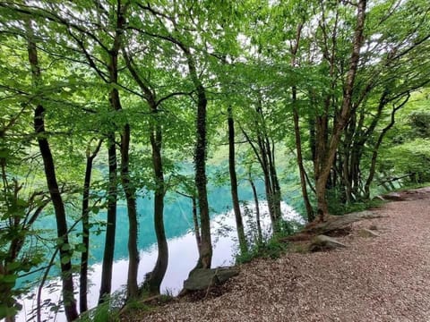 Casa Bosco Apartment in Levico Terme