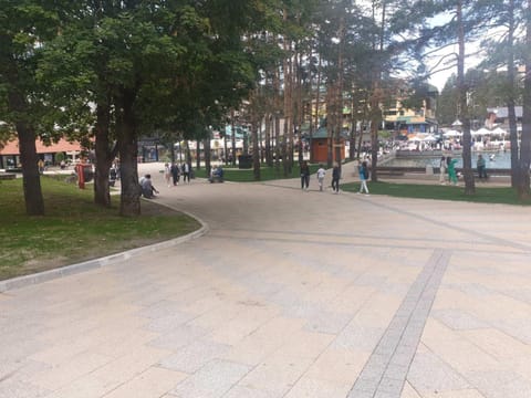 Standardna soba Zlatibor centar 205 Hotel in Zlatibor