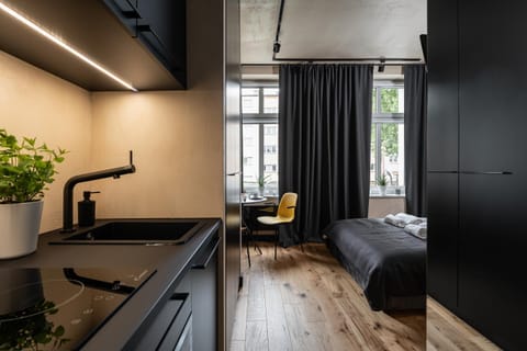 Bed, Kitchen or kitchenette, Living room, Seating area, Bedroom