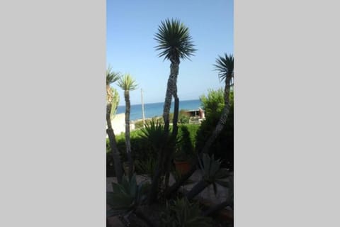 Garden view, Sea view