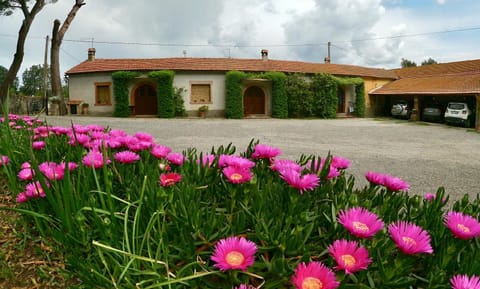 Patio, Facade/entrance, Garden