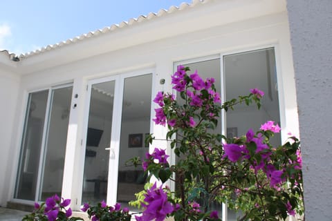 Property building, Spring, Day, Garden, Garden view