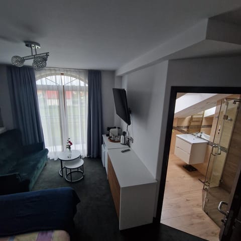 Living room, Photo of the whole room, Seating area, Bedroom