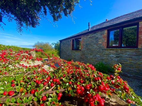 Property building, Garden, View (from property/room), Garden view