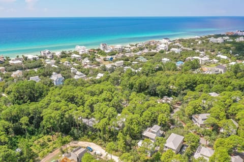 Pure Joy* House in Seagrove Beach