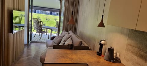Balcony/Terrace, Living room, Seating area