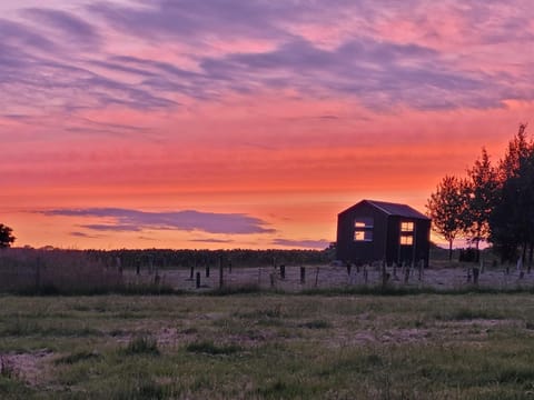 Luccombe Farm Holiday Cottages Farm Stay in North Dorset District
