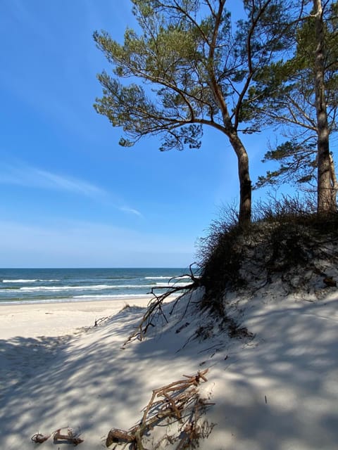 SURF APARTAMENT I Apartment in West Pomeranian Voivodeship, Poland